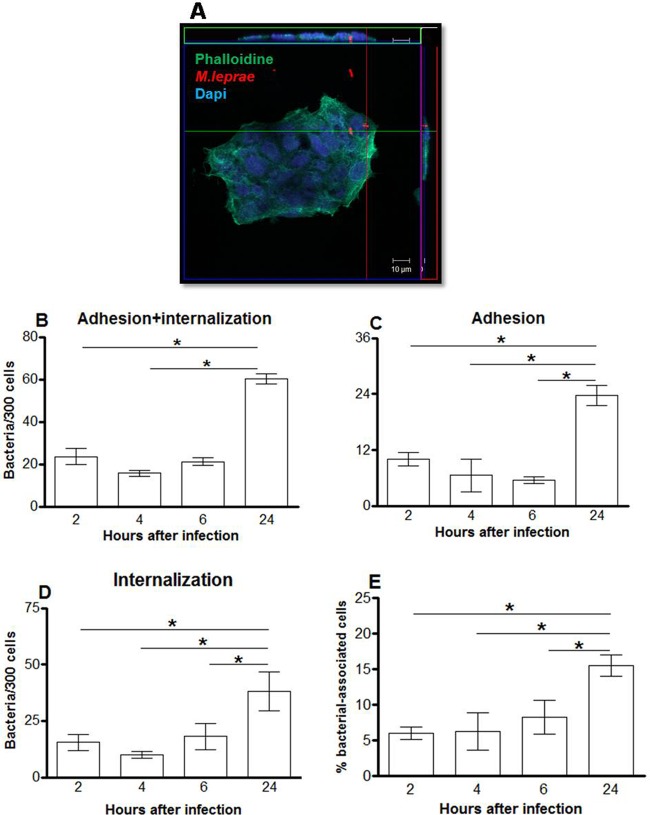 Fig 1