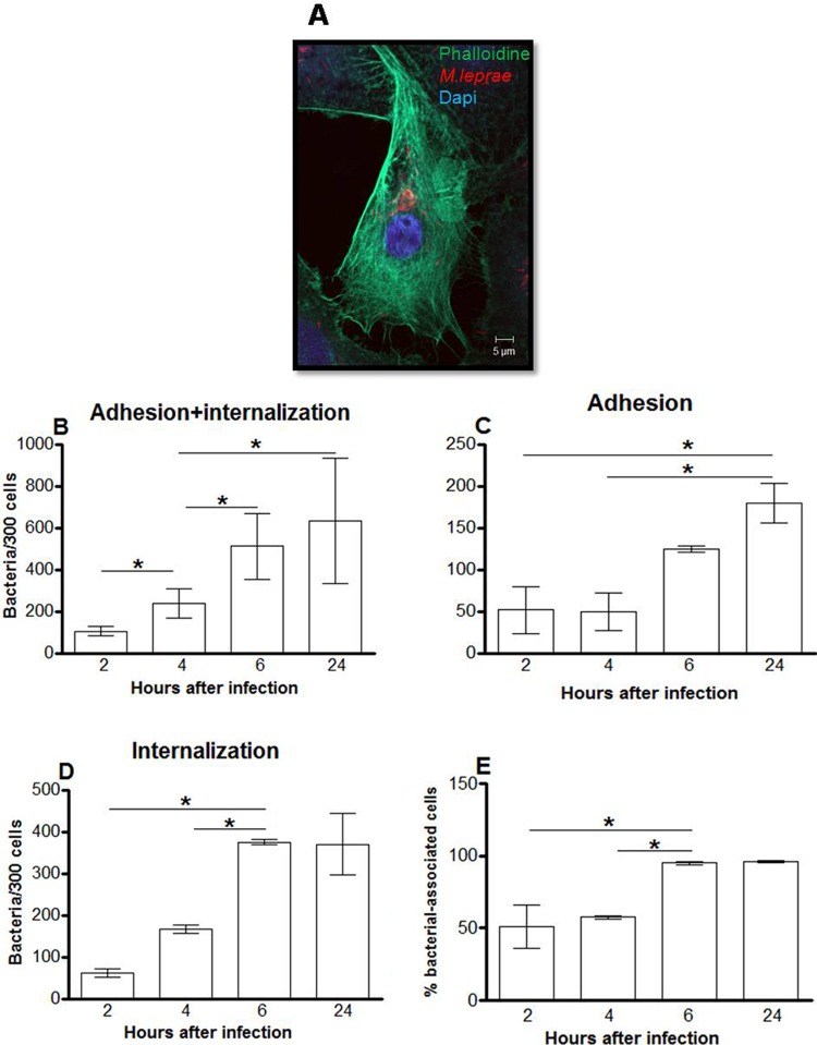 Fig 2