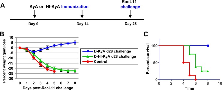 FIG 3