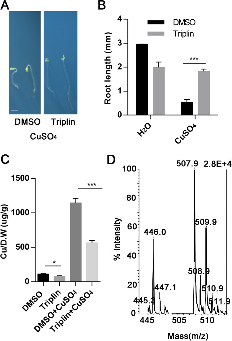 Fig 3