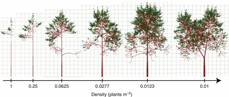 Fig. 3.