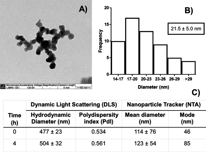 Fig. 1