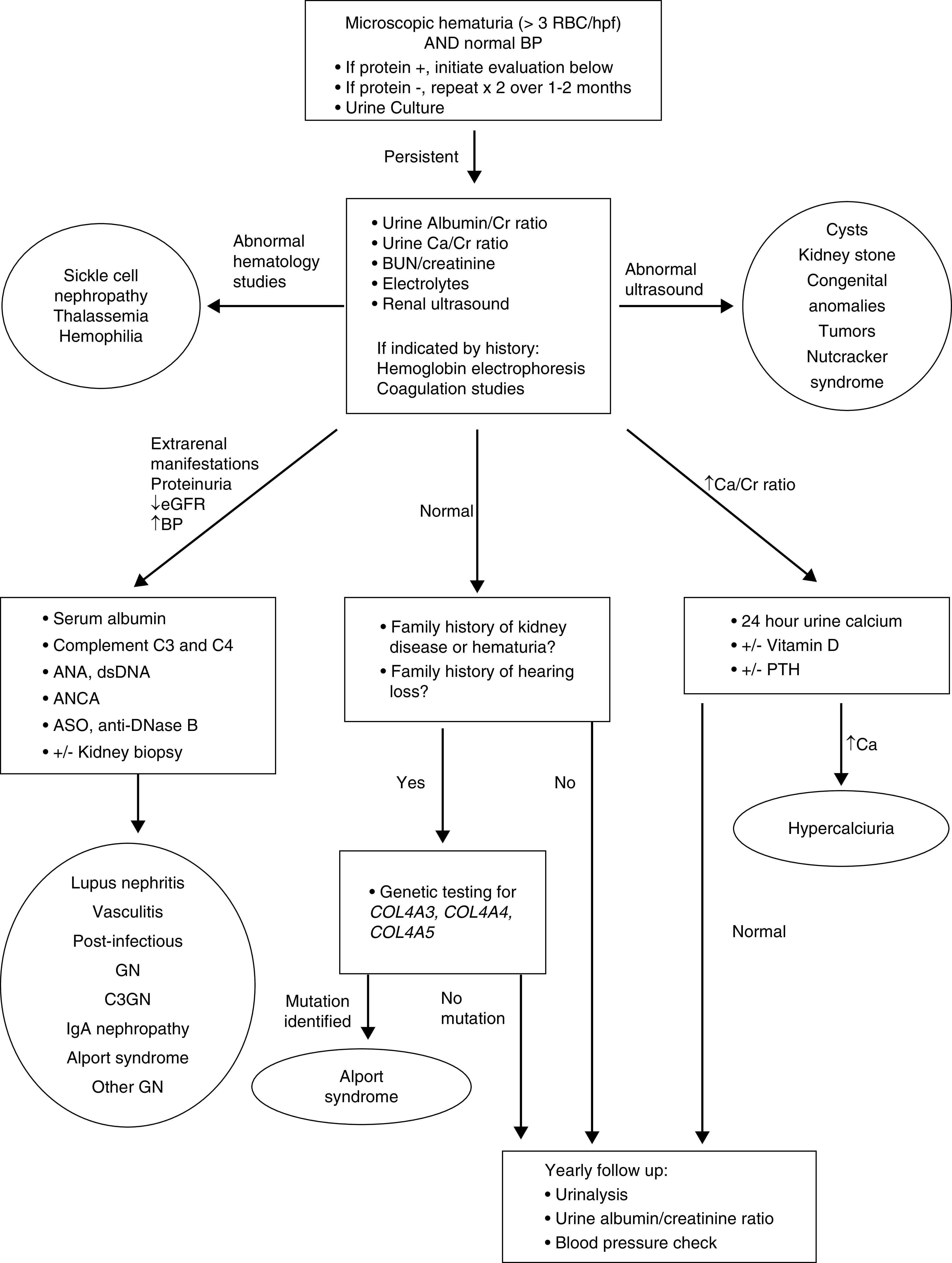 Approach to Persistent Microscopic Hematuria in Children - PMC