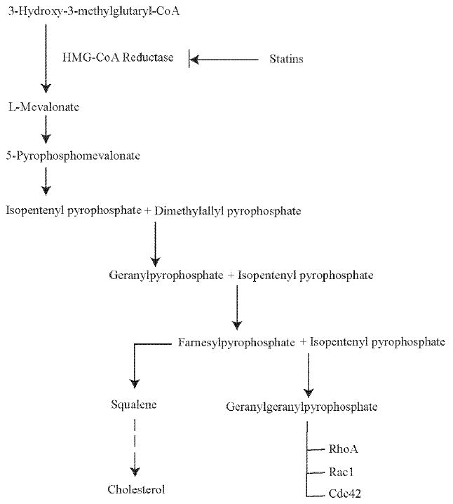 Fig. (1)