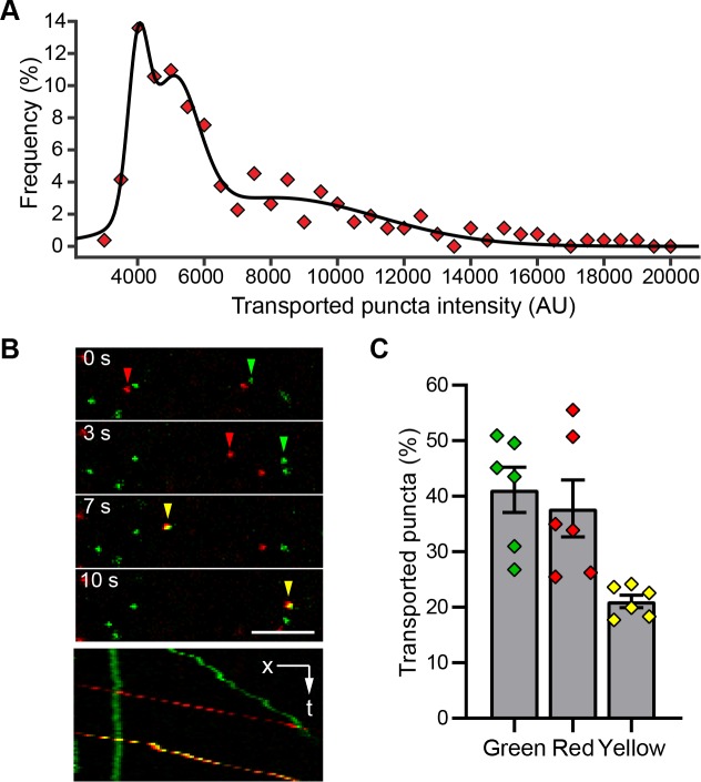 Fig 4