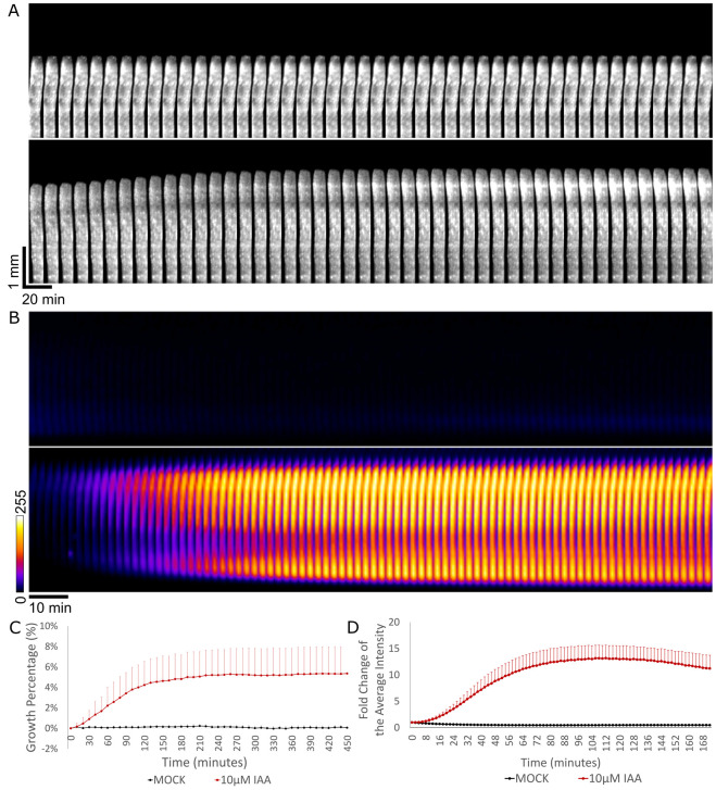 Figure 4.