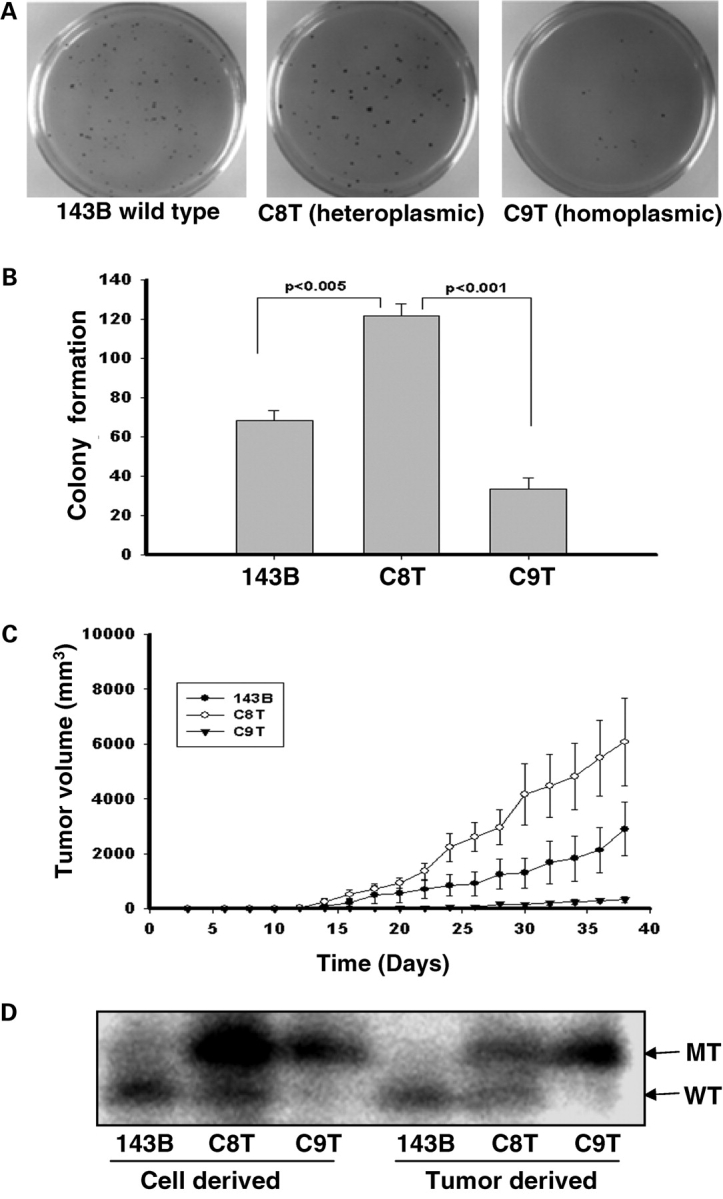 Figure 1.