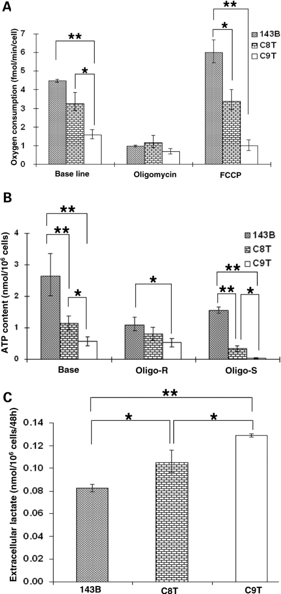 Figure 2.