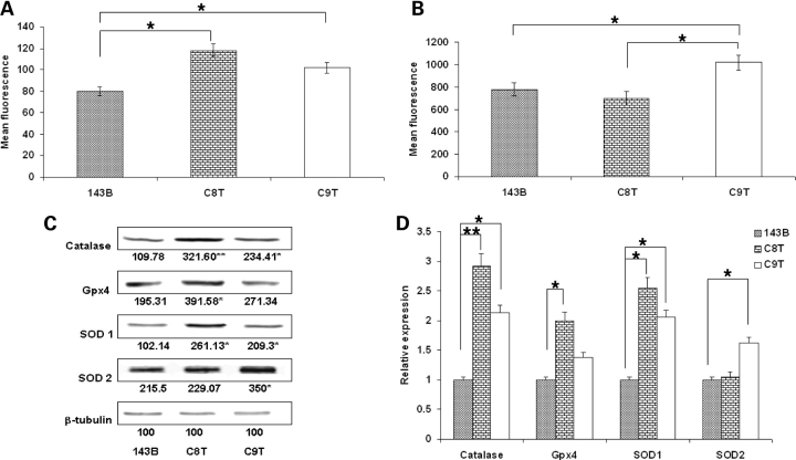 Figure 4.