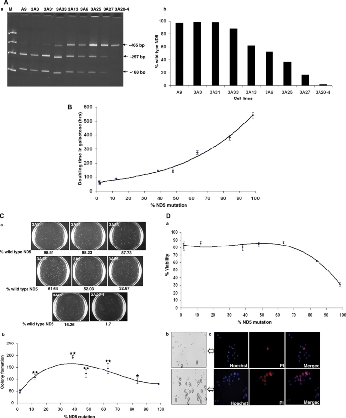 Figure 6.