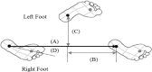 Fig. 2: