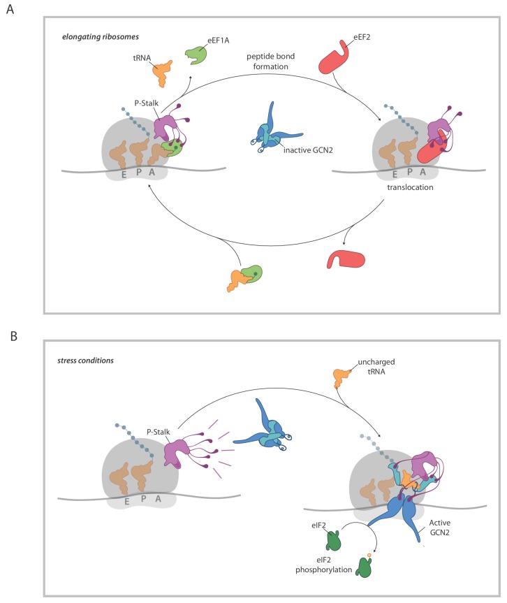 Figure 7.