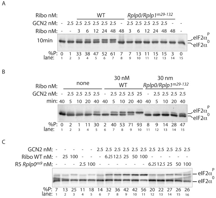 Figure 5—figure supplement 1.