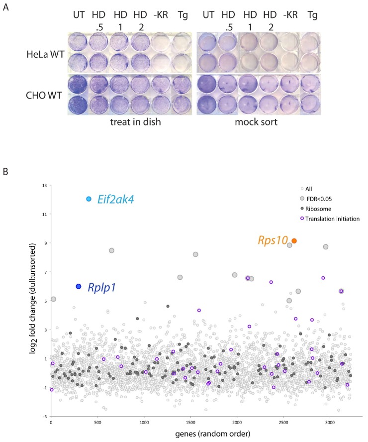 Figure 1—figure supplement 1.