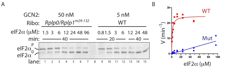 Figure 6—figure supplement 1.