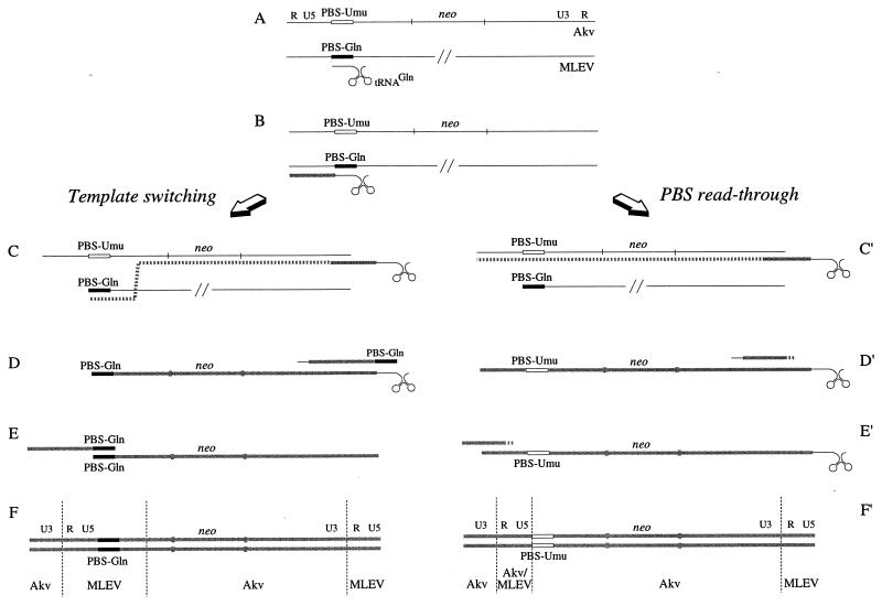 FIG. 3