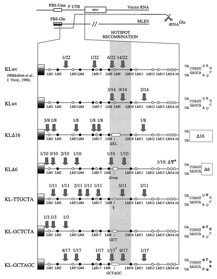 FIG. 5