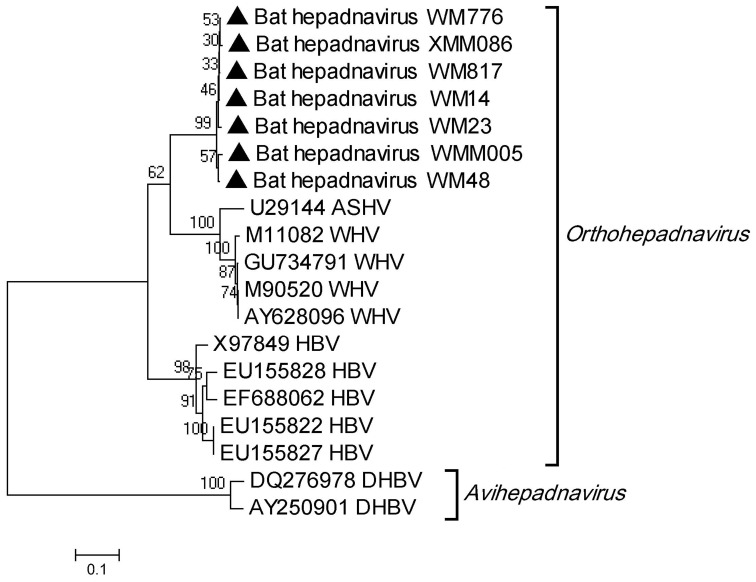 Figure 7