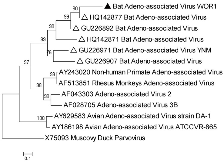 Figure 4