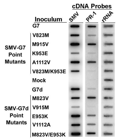 FIG. 5.