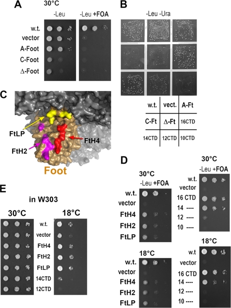 FIGURE 6.