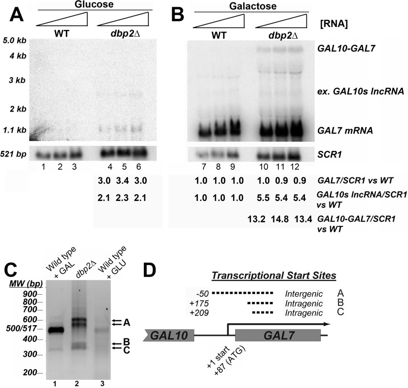 FIGURE 6.