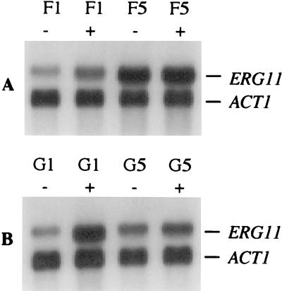 FIG. 6