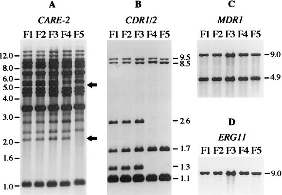 FIG. 1