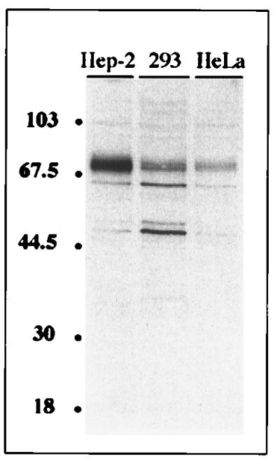 FIG. 5