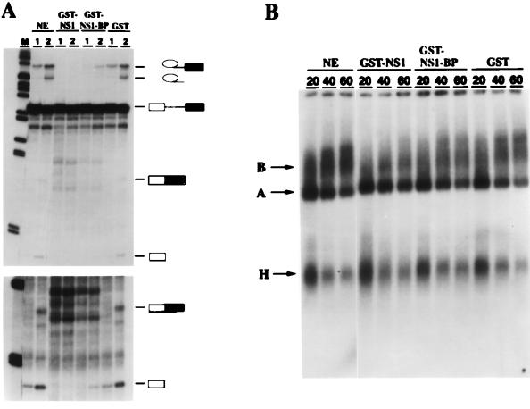 FIG. 8