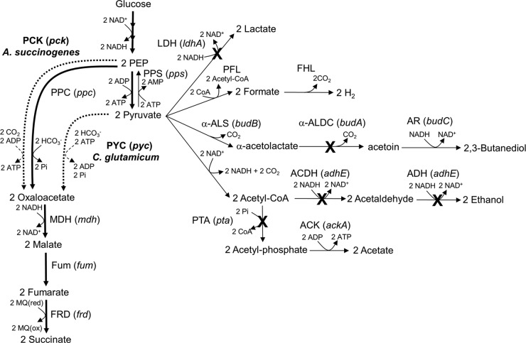 FIG 1