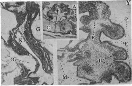 FIG. 11.