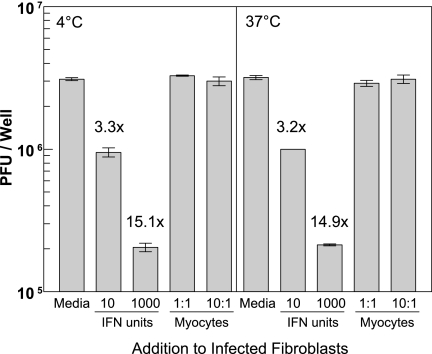 FIG. 11.