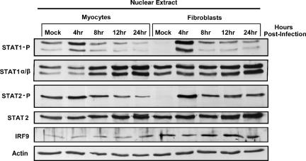 FIG. 8.