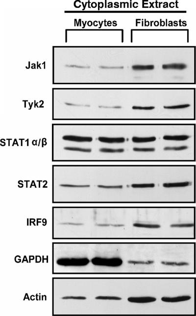 FIG. 5.