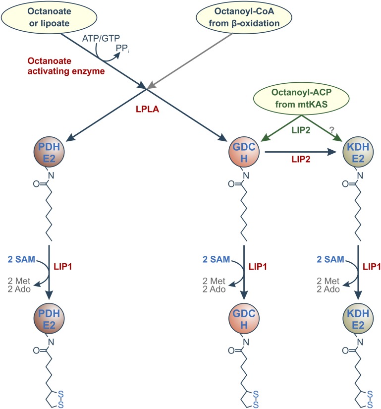 Figure 6.