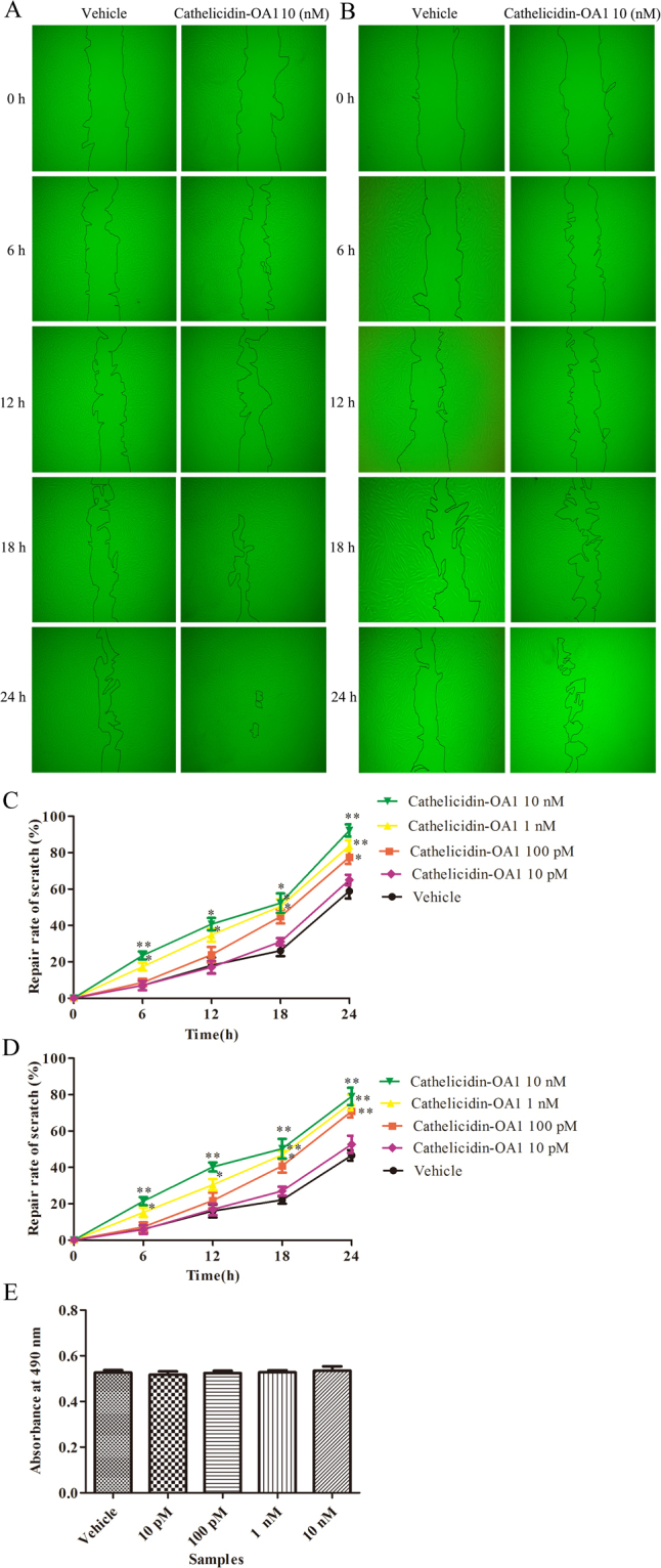 Figure 6