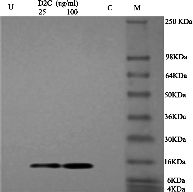 Fig. 6