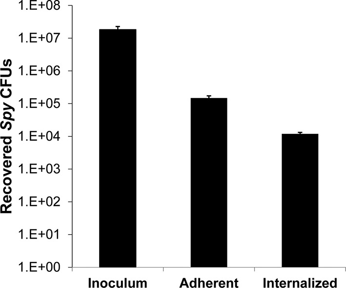 Figure 1—figure supplement 1.