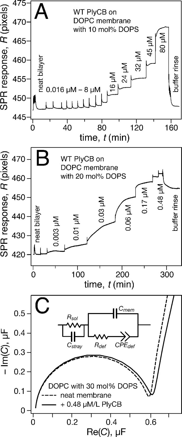 Figure 4.