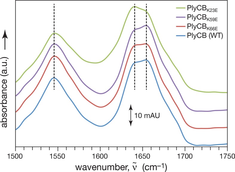 Figure 3—figure supplement 1.