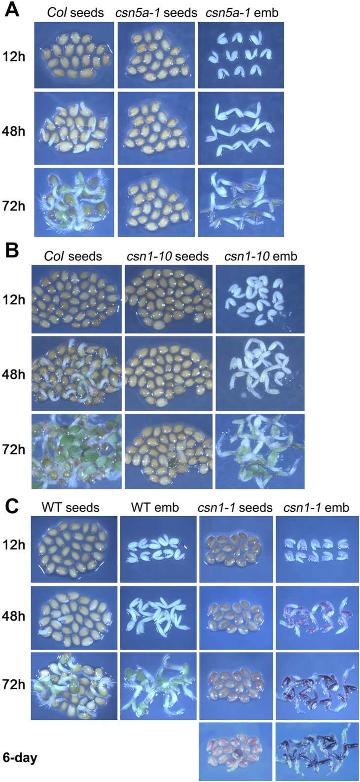 Fig 3