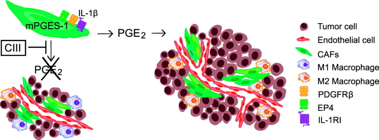 Unlabelled Image