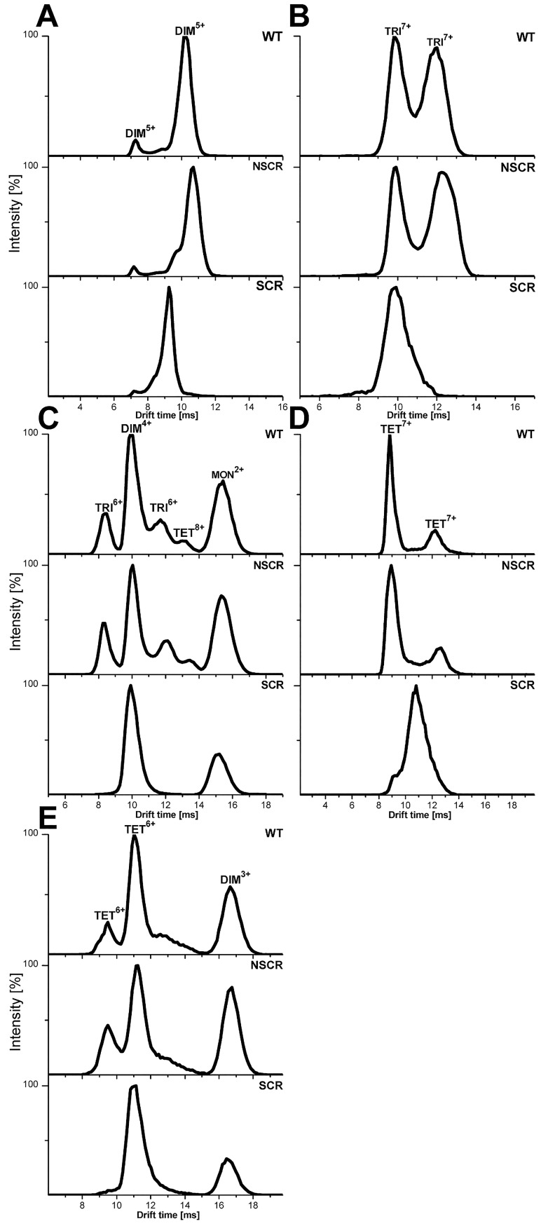 Fig 7