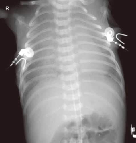 Fig. 5