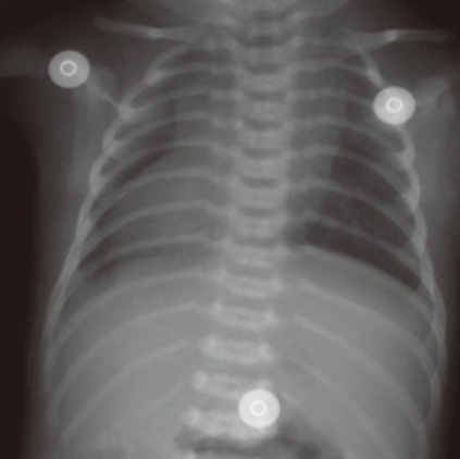 Fig. 7