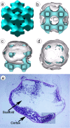 Figure 60