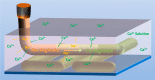 Figure 52