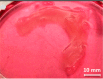 Figure 67