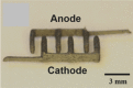 Figure 75